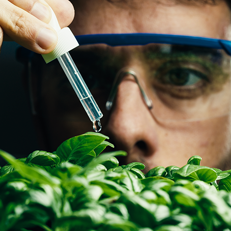 Agronegócio - Biológico